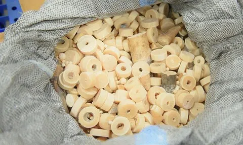 Cận cảnh lô hàng “khủng” hơn 1 tấn ngà voi và vảy tê tê tại sân bay